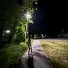 alisweks13