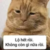 tuii_yeu_anhh