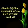 user5143177659681