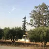 om_2110