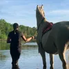 equi_kaat