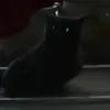 teotaotuo