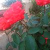 user537413887746