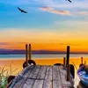 abd.alkader.alshm