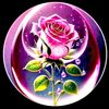 user3910408843653
