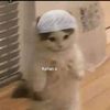 qp_db_vv