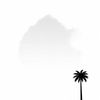 Palm Travels