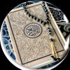 youssefahmed.123