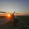 senseivytop