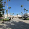 anasfellah7