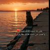 tarek.waleed8