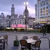 robincelis8