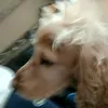 mis.luceros3