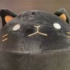 noirthecat5