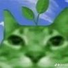 gatotonto58