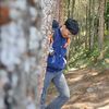 cees.ojol