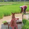 duy2_12