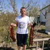 user2186786668179