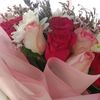 sfggsffg976gmail0