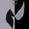 hareemfatima7806