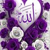aftab.rajpoot09