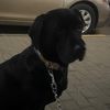 lola_forever0