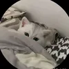 hoangann_23