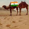 ugresh.dubai
