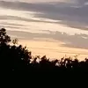 .przemek1