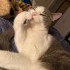 keithf.loves_sloths