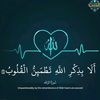 shawkymohameed