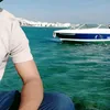 haider.ali91616