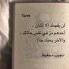 raghda.elshenawy8