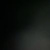 taleb_755