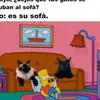 8027queteimporta