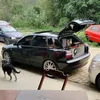 biel_cars