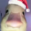 manu.beserra2