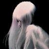 silenceremain