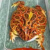 pacman frog