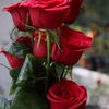 hersth.dhsrmasena