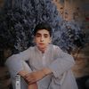 basit_gul_1396