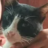 .enticingeyes