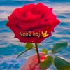 ncotxogkoj20