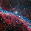 quasar8888