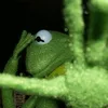 kermit_the_frog0517