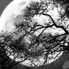 waleed55324