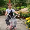 coongtrannguyen