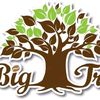 thebigtreefarm