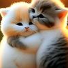 sirrul.qolbie