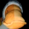 guss_tt22